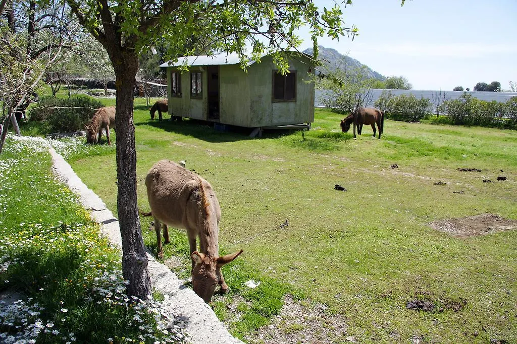 Blacktree Farm And Cottages Fethiye Country house
