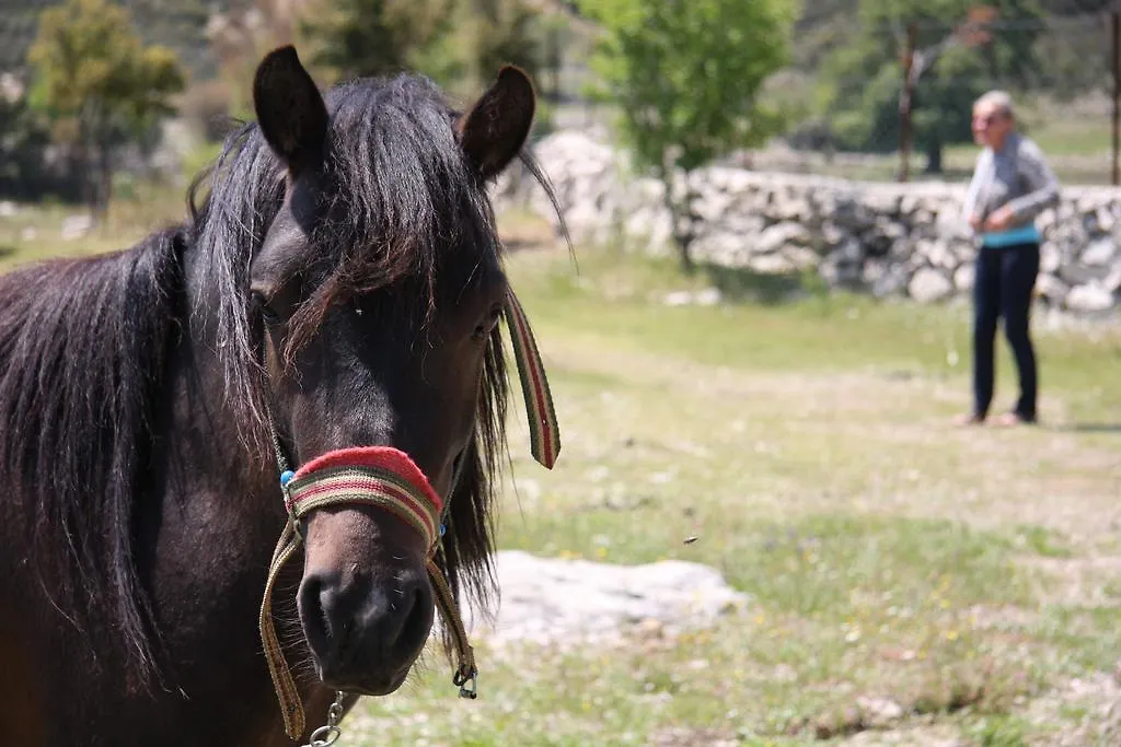 Casa di campagna Blacktree Farm And Cottages Fethiye Turchia