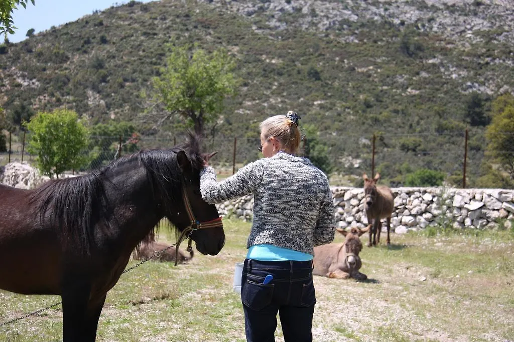 Blacktree Farm And Cottages Fethiye