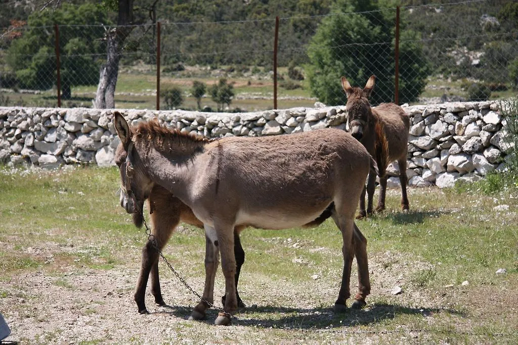 Blacktree Farm And Cottages Fethiye