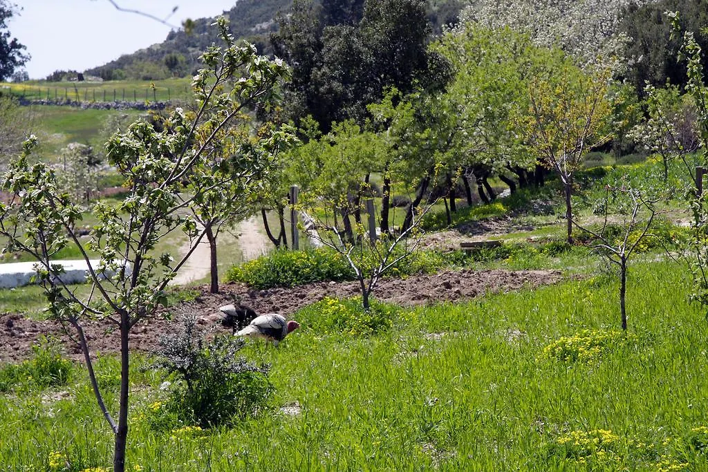 Blacktree Farm And Cottages Fethiye Turkey