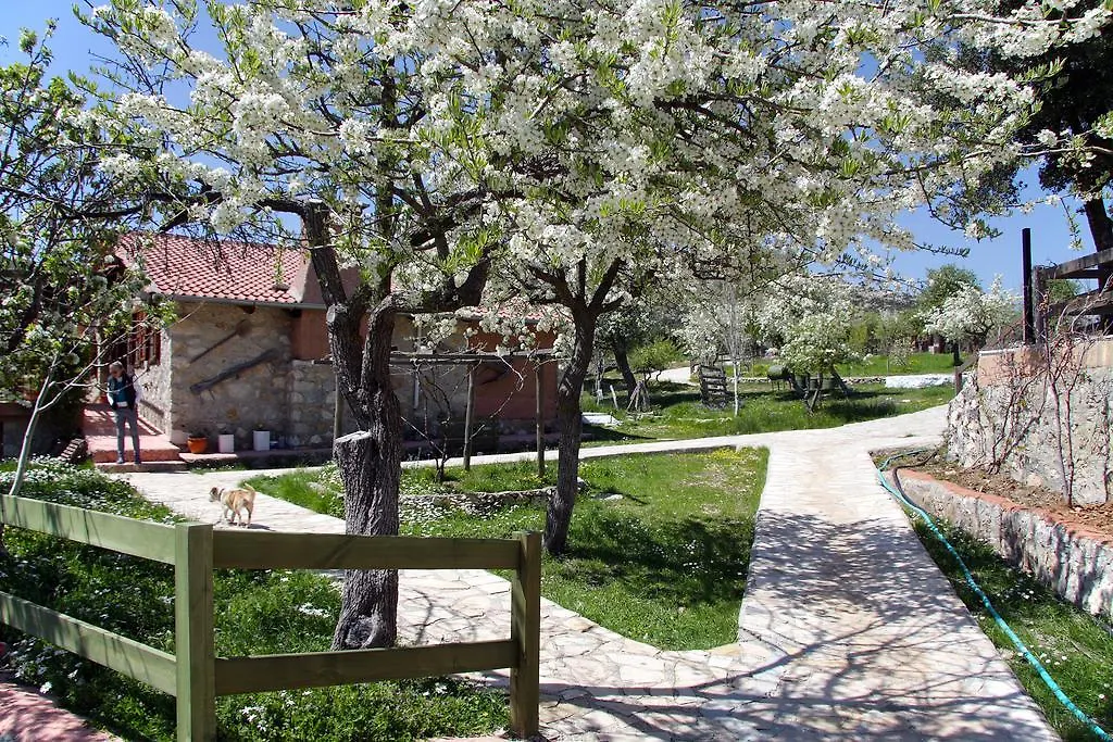 Blacktree Farm And Cottages Fethiye 0*,  Turkey