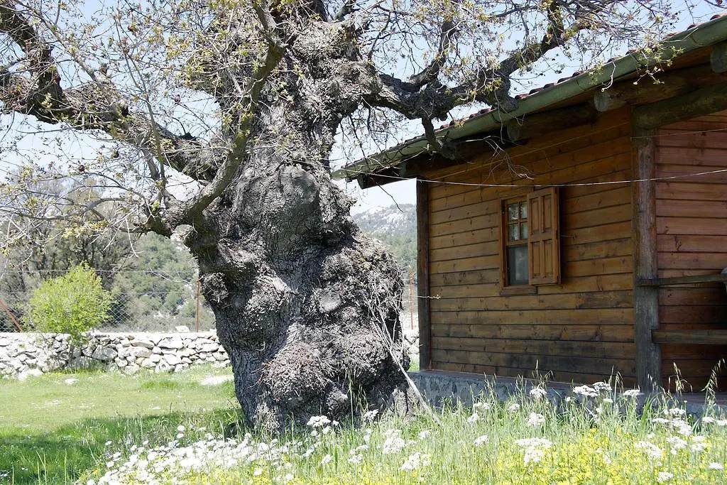 Blacktree Farm And Cottages Fethiye 0*,