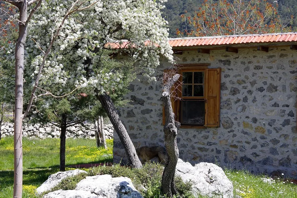 Casa di campagna Blacktree Farm And Cottages Fethiye