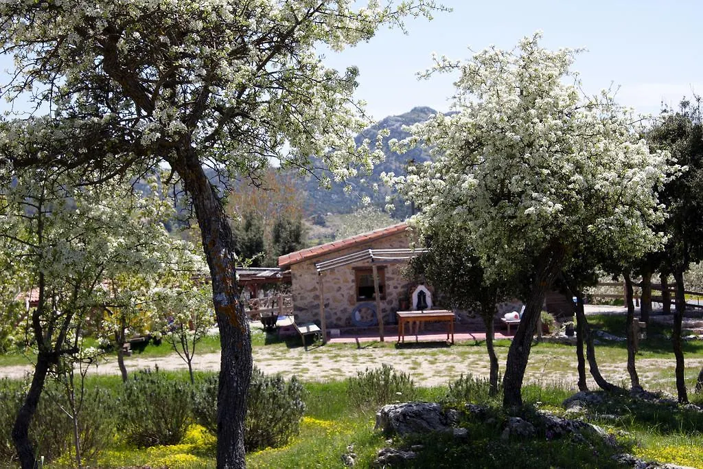 Blacktree Farm And Cottages Fethiye 0*,  Turkey